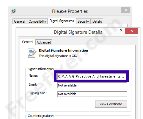 Screenshot of the C.M.A.A.G Proactive And Investments Ltd certificate